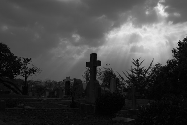 2006